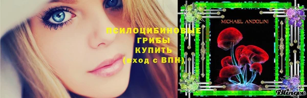 меф Дмитровск