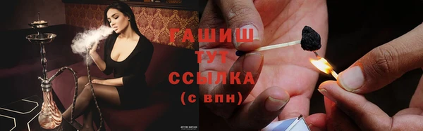 твердый Ельня