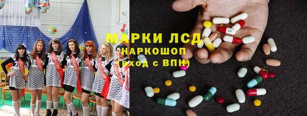 ГАЛЛЮЦИНОГЕННЫЕ ГРИБЫ Елабуга