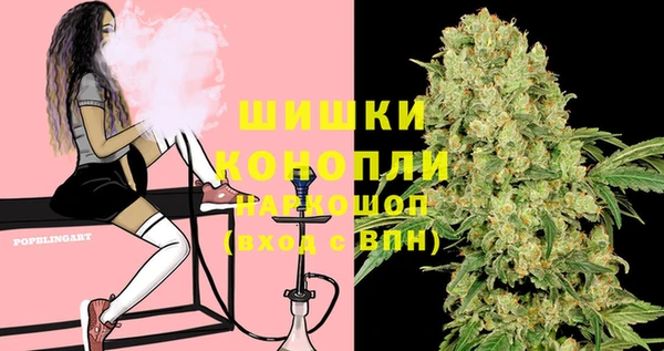 ГАЛЛЮЦИНОГЕННЫЕ ГРИБЫ Елабуга