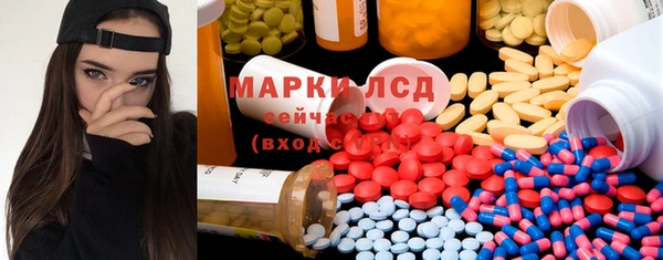 ГАЛЛЮЦИНОГЕННЫЕ ГРИБЫ Елабуга